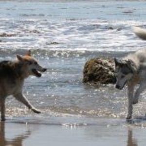 Meet your Posher, Kathleen